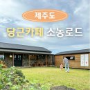 소농농장 | 제주 구좌 카페 소농로드 아이와 당근주스 한잔