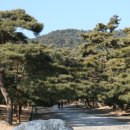 H9012 Daum카페