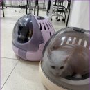 크리스타일 이미지