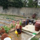 준우농장 이미지