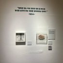 경남 실내 가볼만한곳 김해미술관 ft.헬로우팝아트