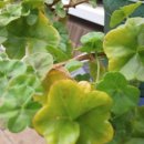 부부축산 이미지