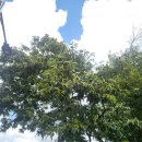 용소 화장실 이미지