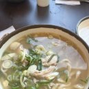 오로지닭 이미지