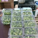 운양농장 이미지