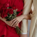 장미축사 이미지