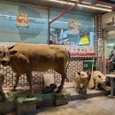 단양한우명가 이미지