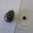 미사늘봄동물병원 이미지