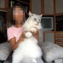 사자옆골 네이버블로그
