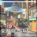 한국모토스 | 일본 도쿄 요코하마 4박5일 여행 1일차 :: 히요시 동네 투어