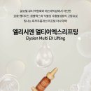 엘리시엔