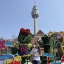 계명대꿈나무태권도장 이미지