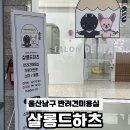 살롱드하츠