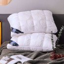 버디모텔 이미지