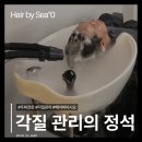 Hair by 숨 | [울산 달동 미용실 헤어바이시오] : 울산 두피관리 탈모와 두피 각질 고민이라면 1회차 두피관리 후기