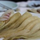 회뜨는바다 이미지