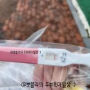 리움산부인과의원 이미지