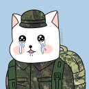바디트레이닝미 이미지