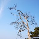 이윤권양한방동물병원 이미지