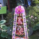 백련불교문화원 Daum카페