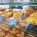 끌로뒤빵 이미지