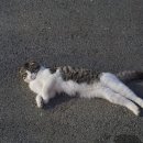 바다담거제펜션 이미지