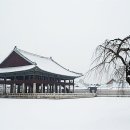 너 실로 예쁘다 이미지