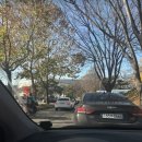 정우 | 251128 NCT 정우 팬미팅 Golden Sugar Time 후기 | 우린 걍하지 넌 강아지