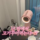 지웰 노피 무선 미니후드 핑크 사용후기(+코베아플레이트버너바스켓세트)