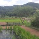 양곡초병설유치원 이미지