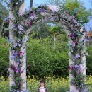 나드리노인복지관 | 기랑 다녀온 2026 화순 봄꽃축제 후기 유모차, 수유실, 기저귀갈이대 솔직 정리 &amp; 추천 루트