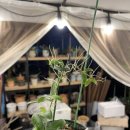 성이농장 이미지