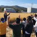 월곶초등학교 이미지