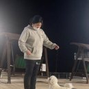 속초애견미용학원