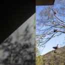 공존스테이 이미지