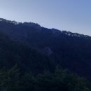 산정대덕 이미지