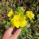 더함농장 이미지