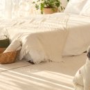 메이드 펫 이미지