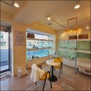 라이프독 강릉점 24시 강아지분양 고양이분양 이미지