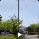 소솜,하루 이미지