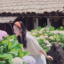 표선리-7 | 6월 커플 제주여행 가볼 만한 곳 제주민속촌 수국축제
