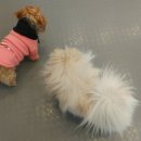 기린동물병원 이미지