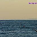 엠케이렌트카 이미지