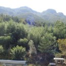 진전면938 이미지