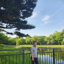 천안시북면위례보건진료소 | 천안지원 경매2계 2023 타경 6627 [임야]