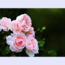 곡성-082 티스토리