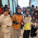 서울양은 이미지