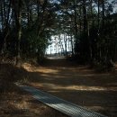 성산한우목장 이미지