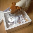 펫츠토리 이미지