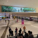 알라딘어린이집 놀이터 | 싱가포르 디즈니 크루즈 3박 포함 4박 6일 여행 일정